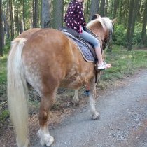 Příměstský tábor 13. -17.8.2018