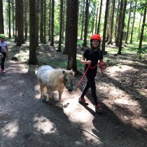 Příměstský tábor 19. - 23.07.2021